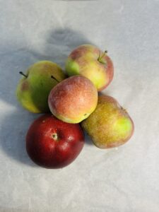 JABŁKO LOBO (MIĘKKIE)