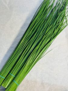 SZCZYPIOREK (CIEŃKI)